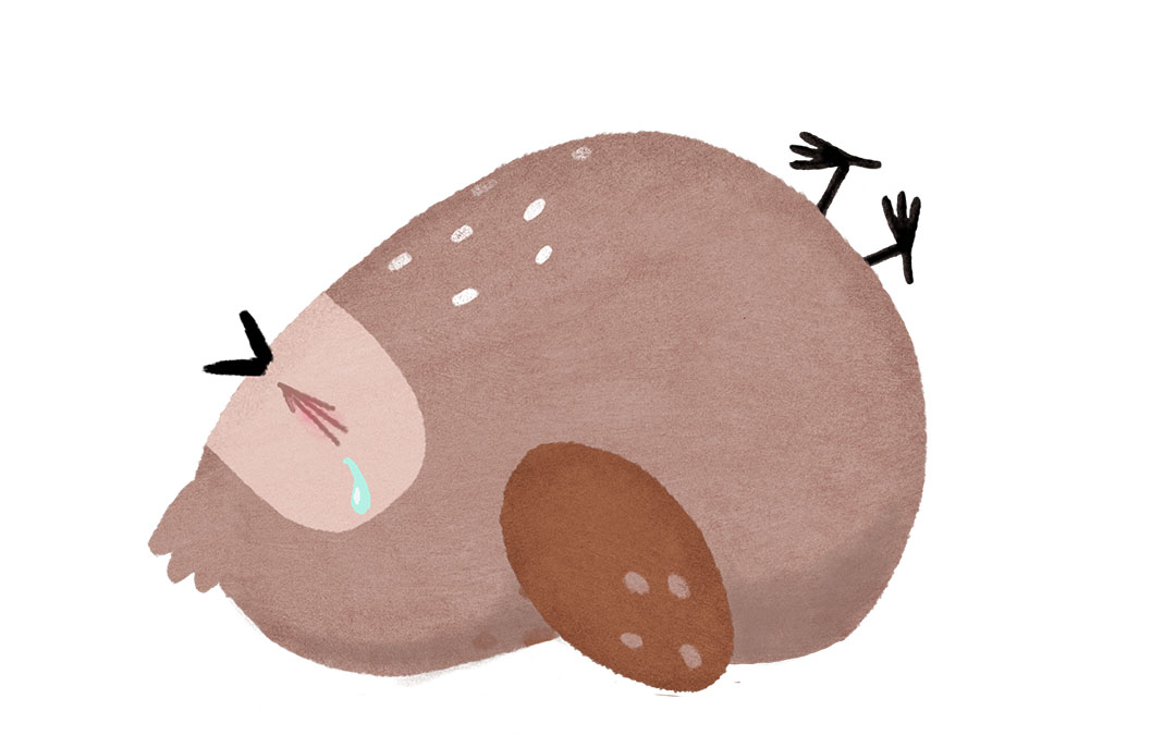 Pyynpoikasella on kiukku