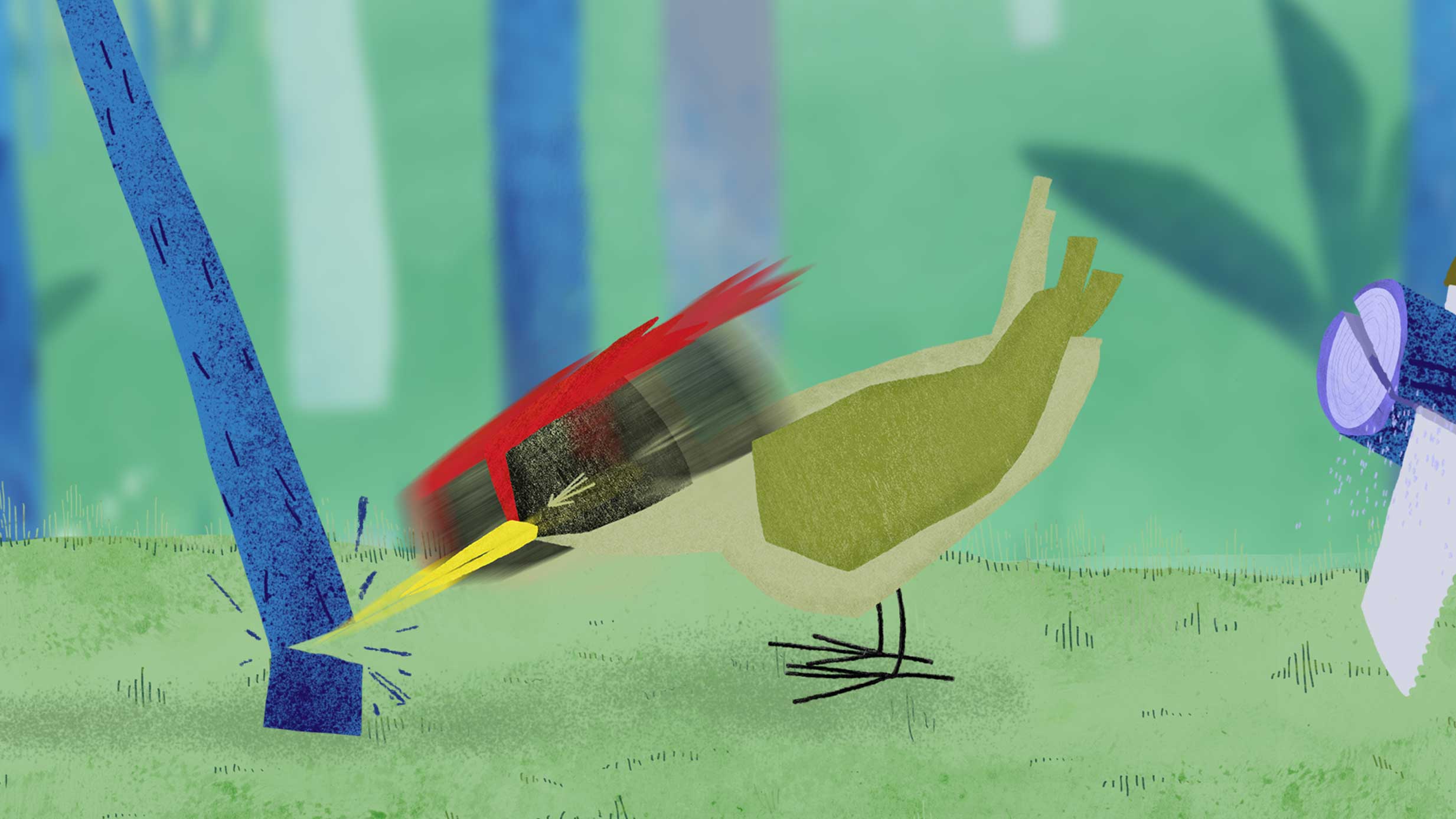 Tikka poraa puun poikki